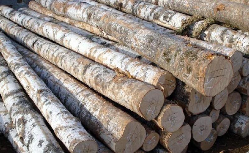 湖(hú)南(nán)壹木(mù)家(jiā)居有(yǒu)限公司,生(shēng)态木(mù)飾面闆材,湖(hú)南(nán)科(kē)技(jì)木(mù)飾面闆材